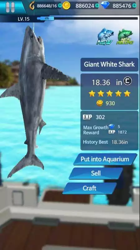 Play Fishing Championship