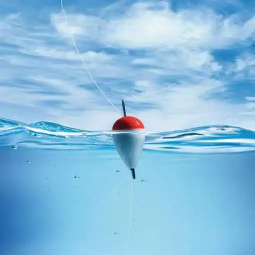 Run free android online Fishing Club KZ APK