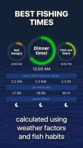 Play Fishing Forecast by TipTop as an online game Fishing Forecast by TipTop with UptoPlay