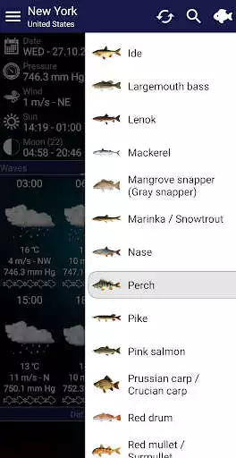 Play Fishing forecast as an online game Fishing forecast with UptoPlay