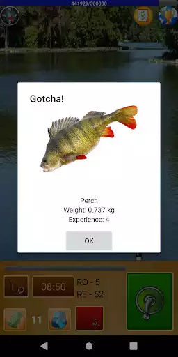Play Fishing For Friends