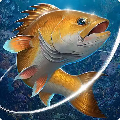 Free play online Fishing Hook APK Free play online Fishing Hook APK