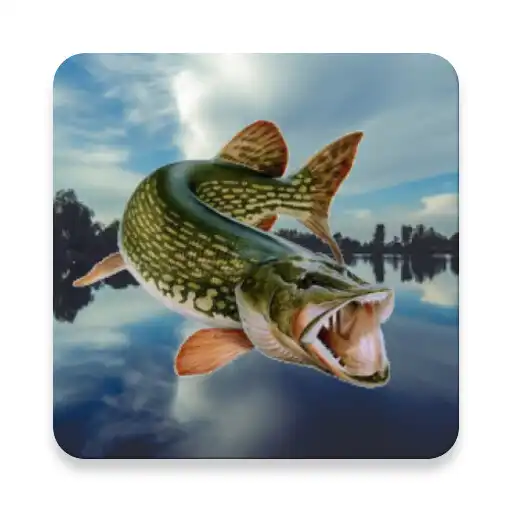 Play Fishing in Yerky APK Play Fishing in Yerky APK