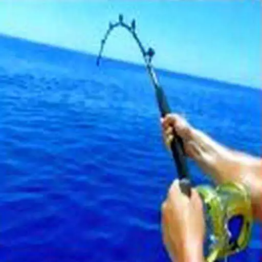 Play Fishing Puzzle APK