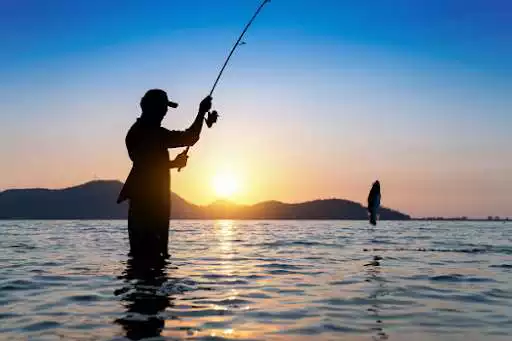 Play Fishing as an online game Fishing with UptoPlay