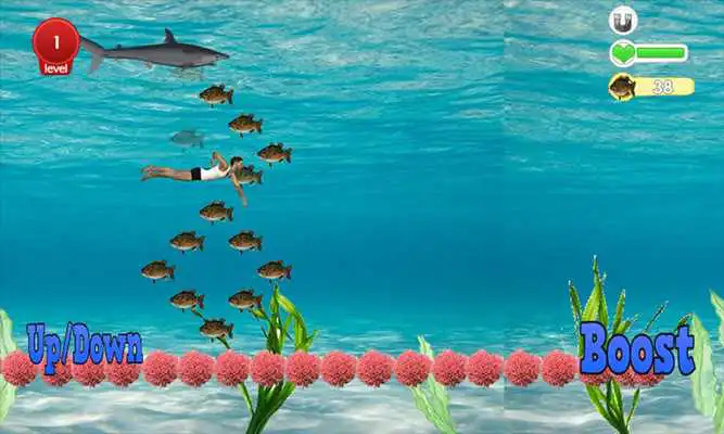 Play Fishing Sea Fish (Catching)