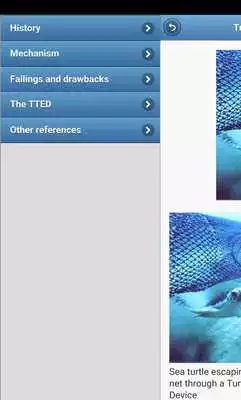 Play Fishing tackle