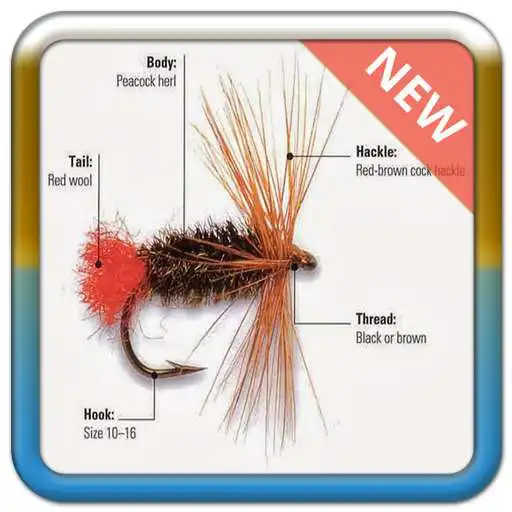 Run free android online Fishing Technique Idea APK Run free android online Fishing Technique Idea APK