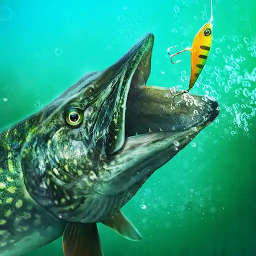 Play Fishing Tour APK