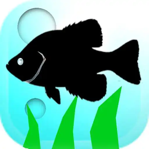 Play Fishing Traveler APK