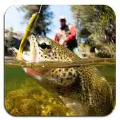 Free play online Fishing Wallpaper APK Free play online Fishing Wallpaper APK