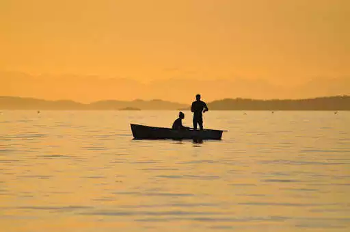 Play Fishing Wallpapers