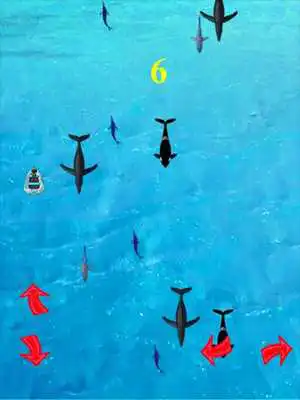 Play Fishing Wild Shark