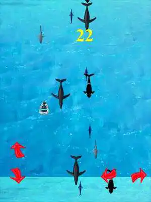 Play Fishing Wild Shark