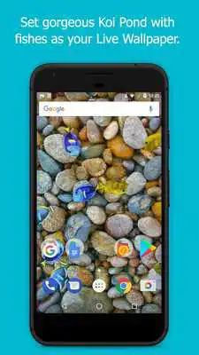 Play Fish in Phone Prank