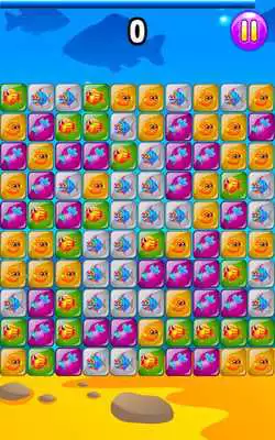 Play Fish Live Smashy Blocks Play Fish Live Smashy Blocks