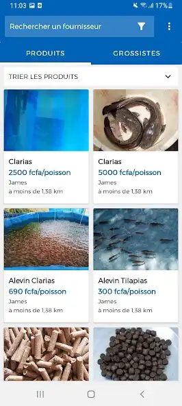 Play FishMeet as an online game FishMeet with UptoPlay