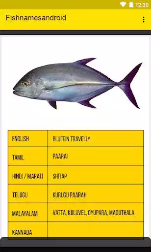 Play Fish Names in Indian Languages as an online game Fish Names in Indian Languages with UptoPlay