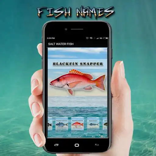 Play FISH NAMES as an online game FISH NAMES with UptoPlay