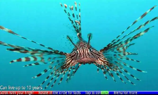 Play Fish of the Coral Reef 2 FREE Play Fish of the Coral Reef 2 FREE