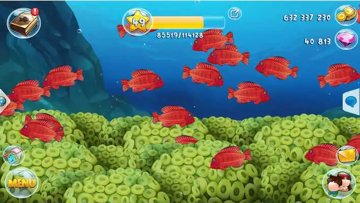 Play Fish Paradise