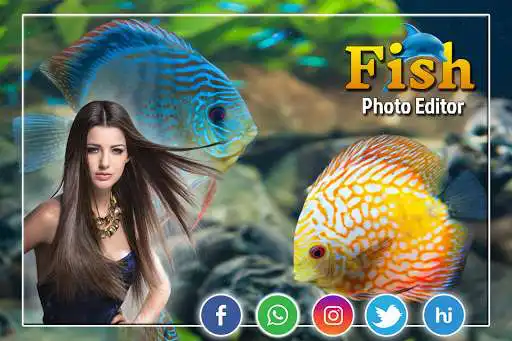 Play Fish Photo Frame  and enjoy Fish Photo Frame with UptoPlay