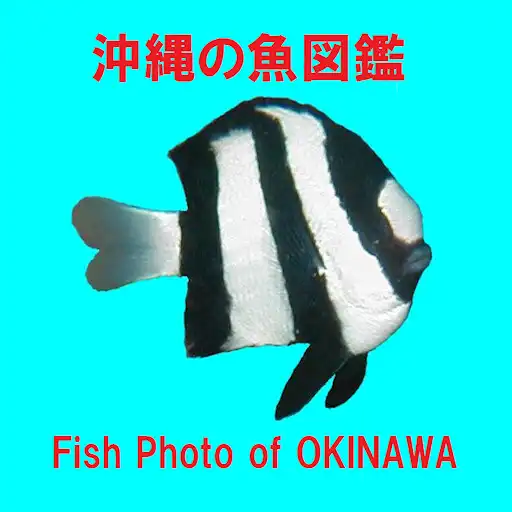 Play Fish Photo of OKINAWA APK Play Fish Photo of OKINAWA APK