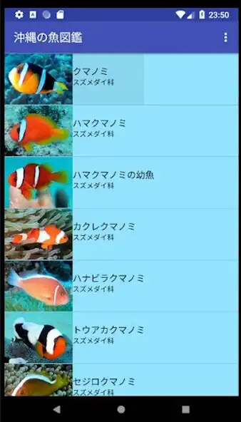 Play Fish Photo of OKINAWA  and enjoy Fish Photo of OKINAWA with UptoPlay