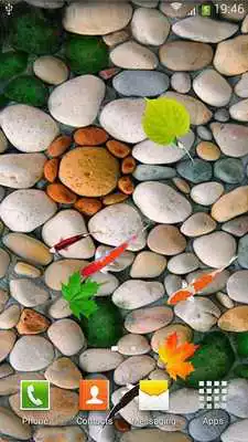 Play Fish Pond