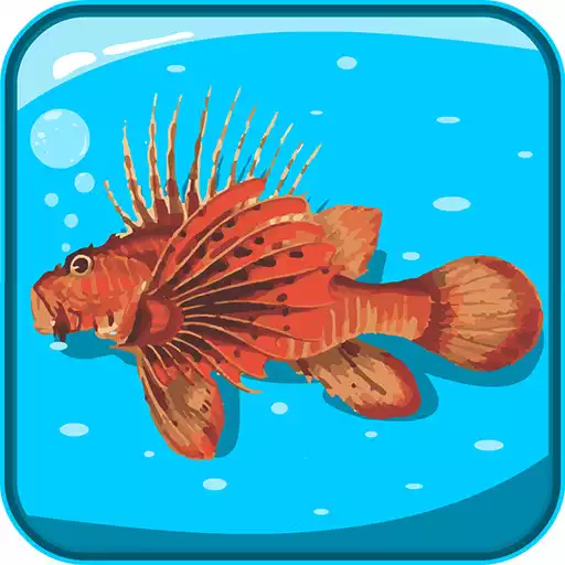 Free play online Fish: Quiz APK
