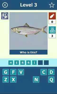 Play Fish: Quiz