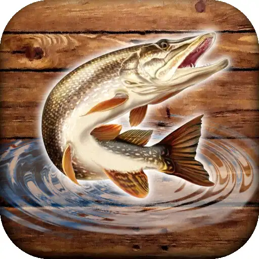 Play Fish rain: sport fishing APK