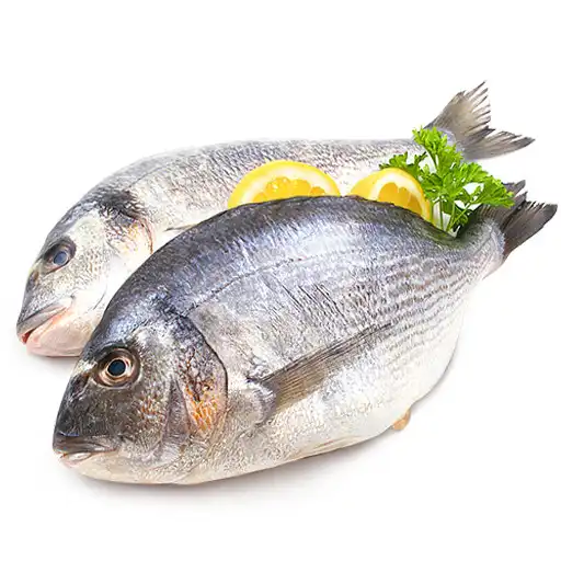 Run free android online Fish Recipes APK Run free android online Fish Recipes APK