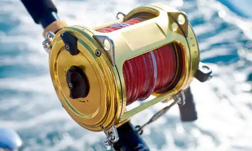 Play FishReeler - Fishing Reels as an online game FishReeler - Fishing Reels with UptoPlay