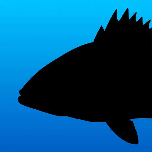 Play Fish Rules: Fishing App APK