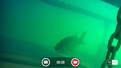 Play FishSens SondeCAM as an online game online FishSens SondeCAM with UptoPlay com.fad.fishsenssondecam Play FishSens SondeCAM as an online game FishSens SondeCAM with UptoPlay