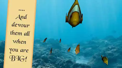 Play Fish Simulator as an online game Fish Simulator with UptoPlay