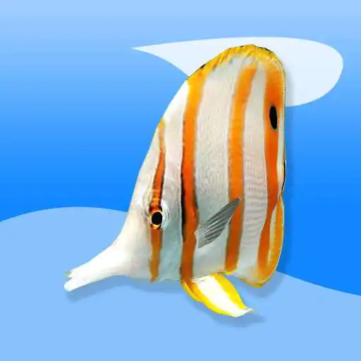 Play Fish Them All APK