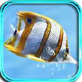 Free play online Fish Tropical live wallpaper APK