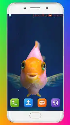 Play Fish Wallpaper (4k) as an online game Fish Wallpaper (4k) with UptoPlay
