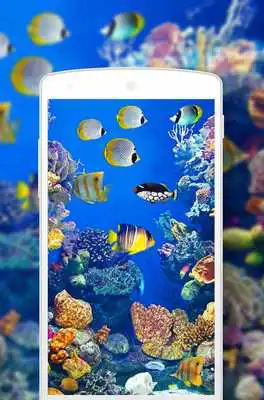 Play Fish Wallpapers 2K 4K