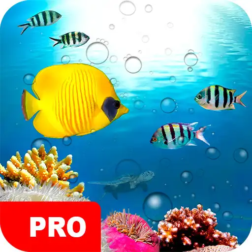 Play Fish Wallpapers PRO APK Play Fish Wallpapers PRO APK