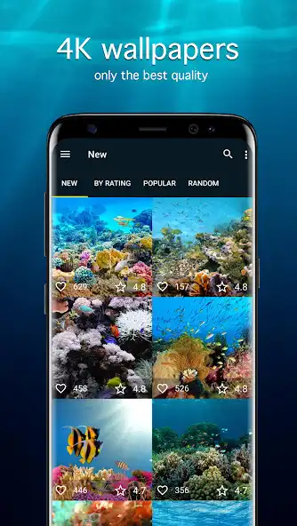 Play Fish Wallpapers PRO  and enjoy Fish Wallpapers PRO with UptoPlay