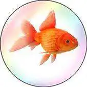 Free play online FISHY BUBBLE APK Free play online FISHY BUBBLE APK