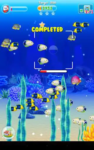 Play Fishy - Paparazzi