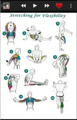Play Fitness Gym Quotes