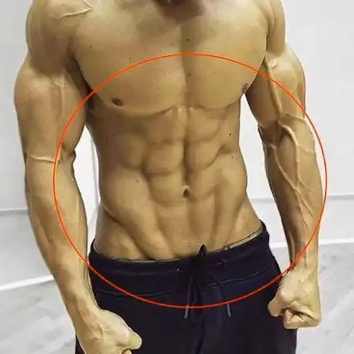 Play Fitness. Rutinas y ejercicios APK Play Fitness. Rutinas y ejercicios APK