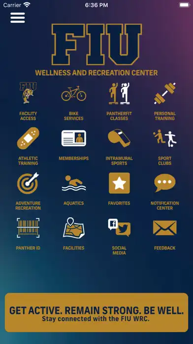 Play FIU WRC GO as an online game FIU WRC GO with UptoPlay