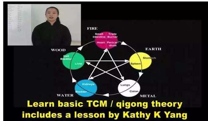 Play Five Animals Qigong (YMAA)