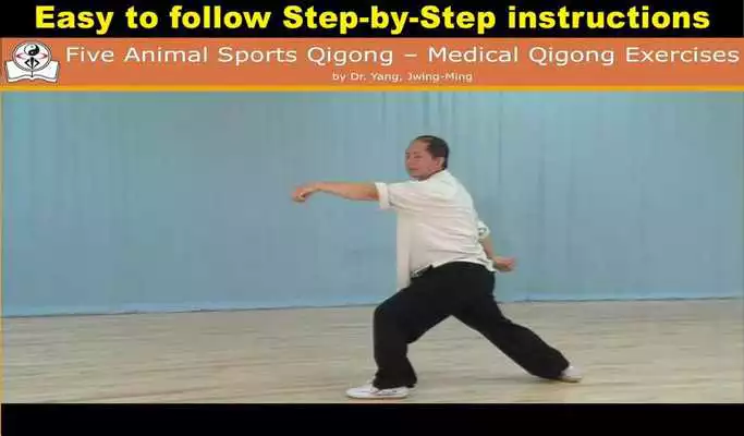 Play Five Animals Qigong (YMAA)